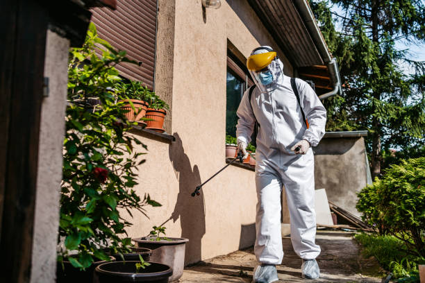 Best Local Pest Control Services  in Palmer Lake, CO