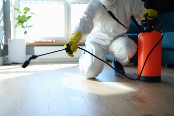 Best Pest Prevention Services  in Palmer Lake, CO