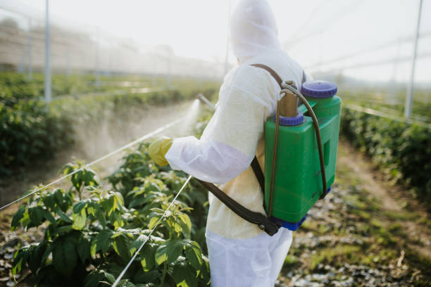 Best Affordable Pest Control Services  in Palmer Lake, CO